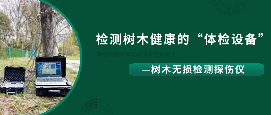 樹木無(wú)損檢測(cè)探傷儀精準(zhǔn)檢測(cè)樹木健康狀況，給出專業(yè)治療方案