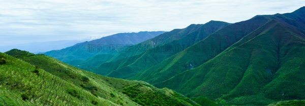 智慧護(hù)林有妙招，看太子山如何用科技守護(hù)森林