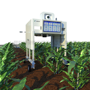 田間無(wú)人車(chē)式高通量植物表型采集分析平臺(tái) 