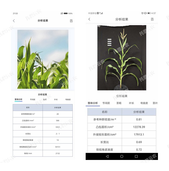 玉米株型分析系統(tǒng)手機(jī)軟件界面