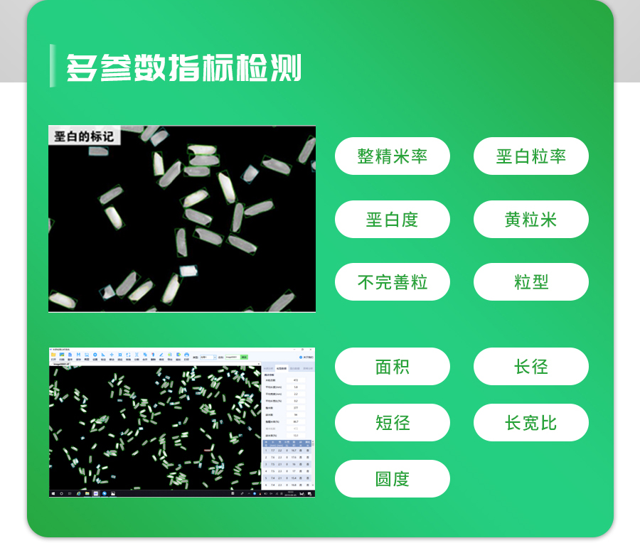 大米外觀(guān)品質(zhì)檢測(cè)儀