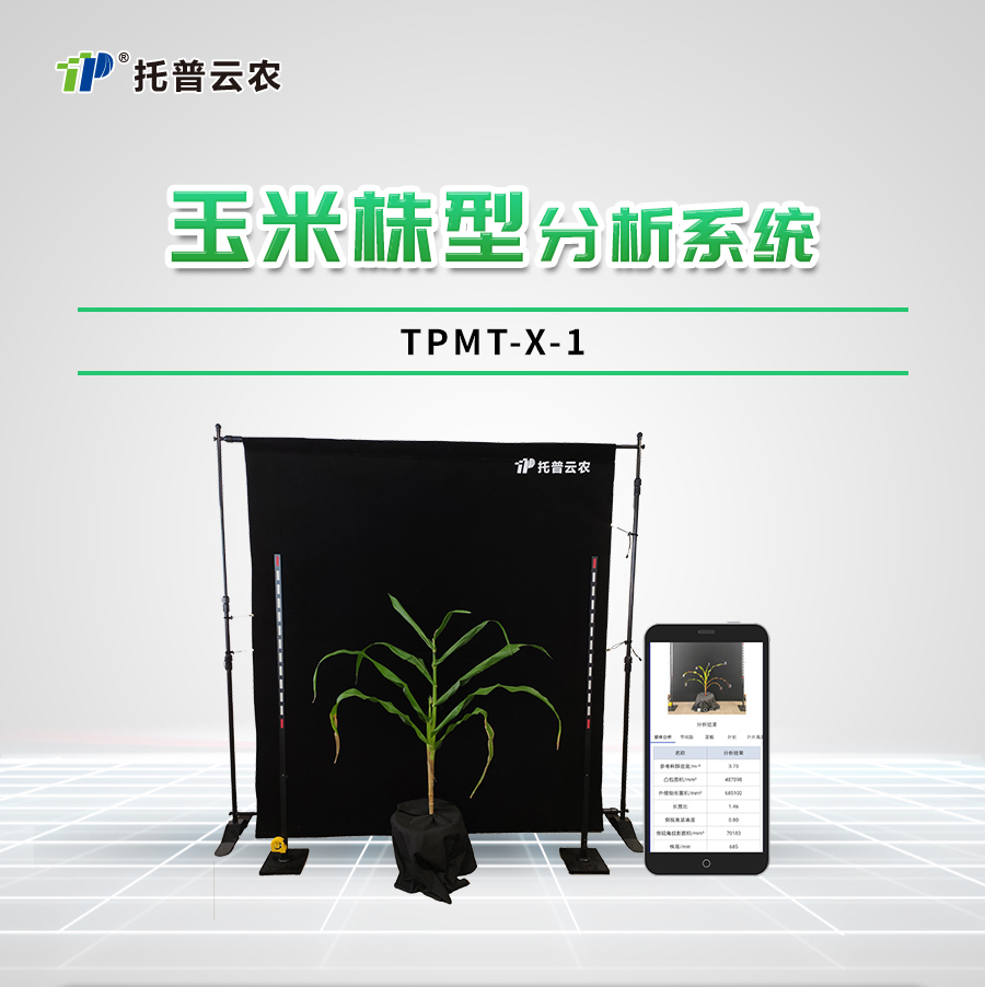 玉米株型分析系統(tǒng)